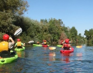  Navegación en el drome